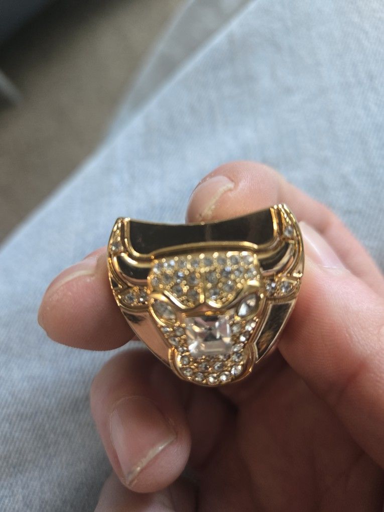 Bulls Champ Ring 1(contact info removed) Season Jordan