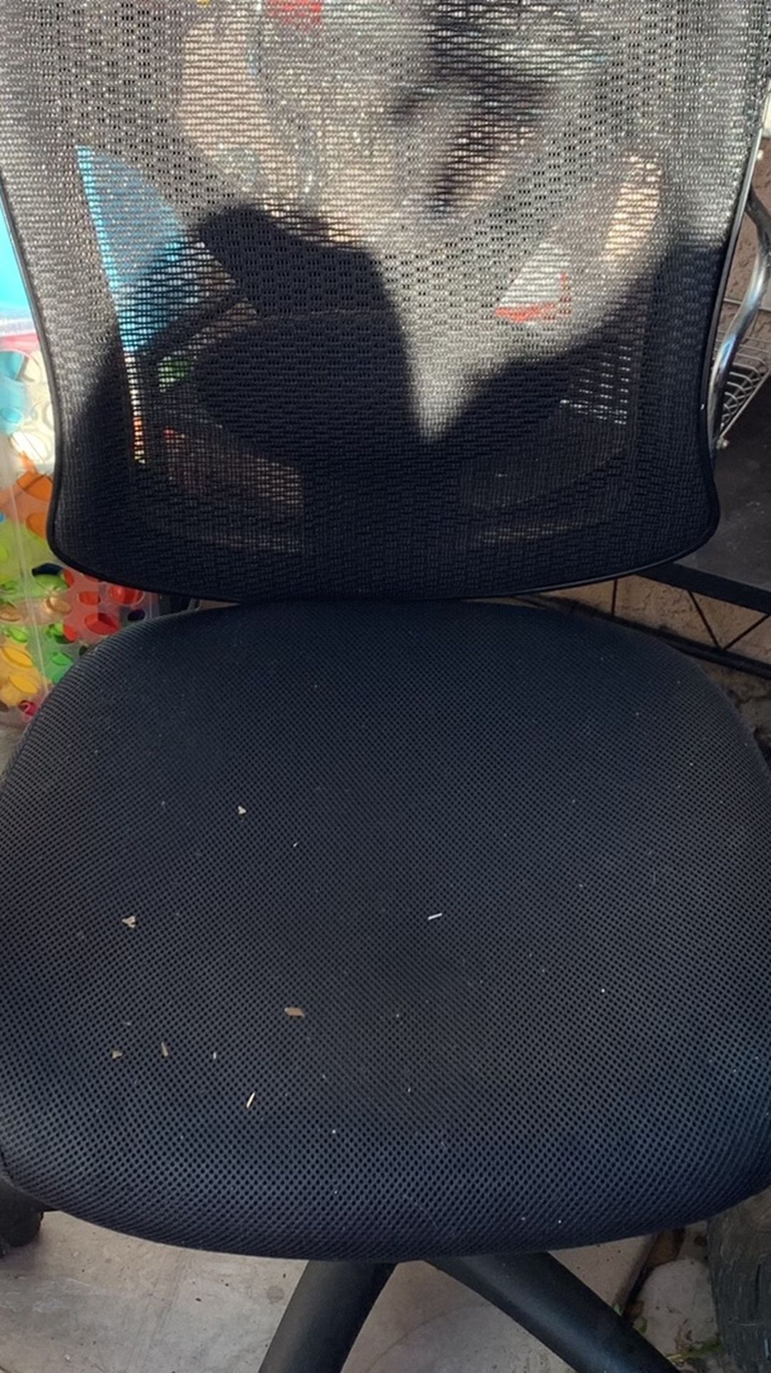 Chair, Silla $30 OBO