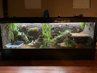 Reptile cage