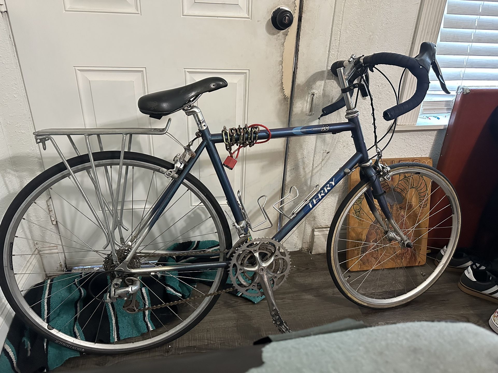 Terry Isis Road Bike