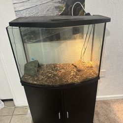 Fish Tank 