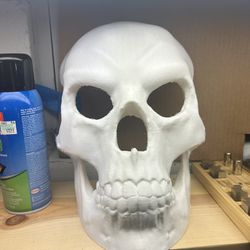3d Printed Skull