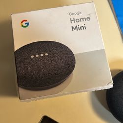 Google Mini Home