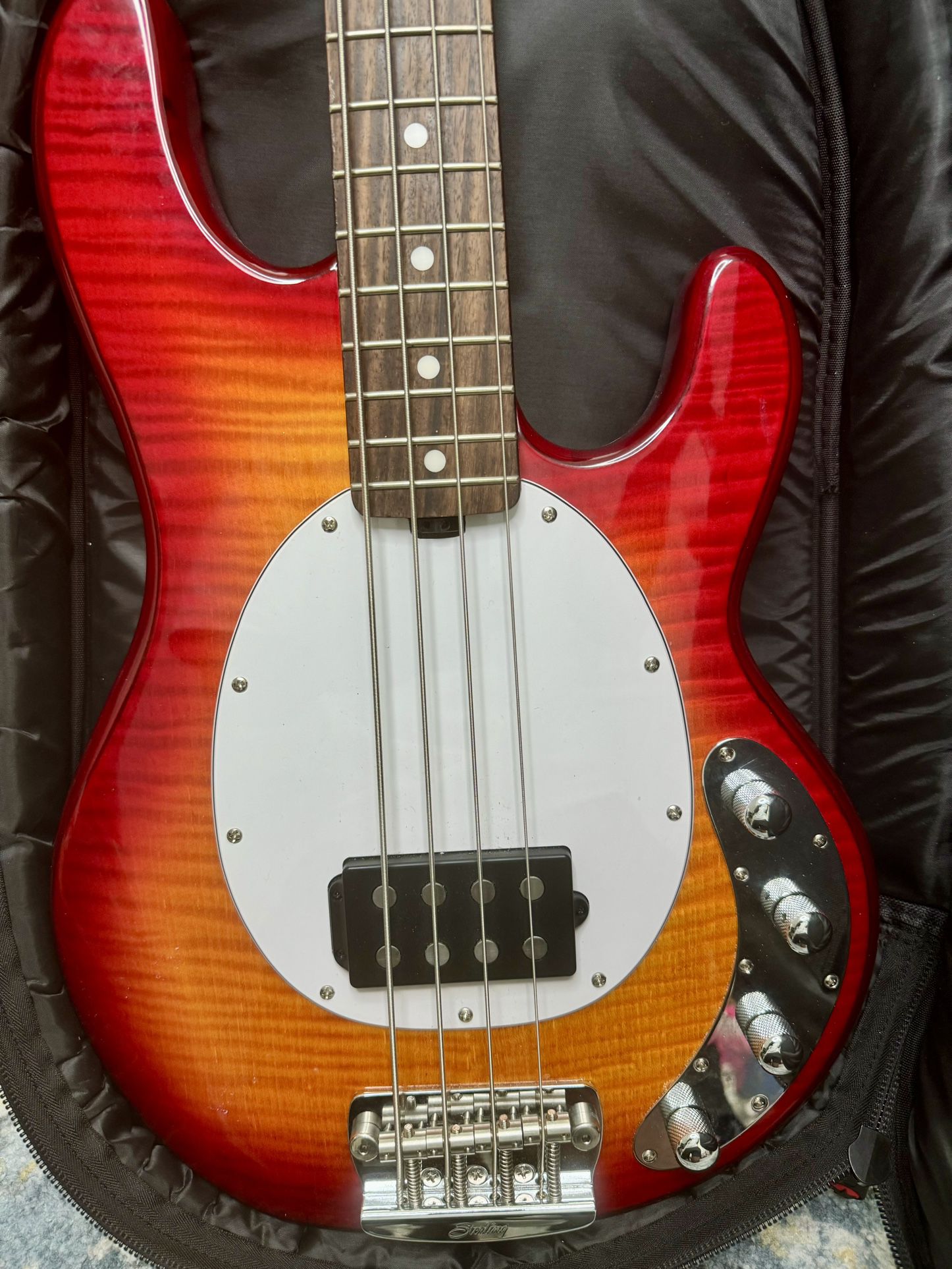 Sterling by Music Man StingRay Bass Guitar & Fender Amp For Sale