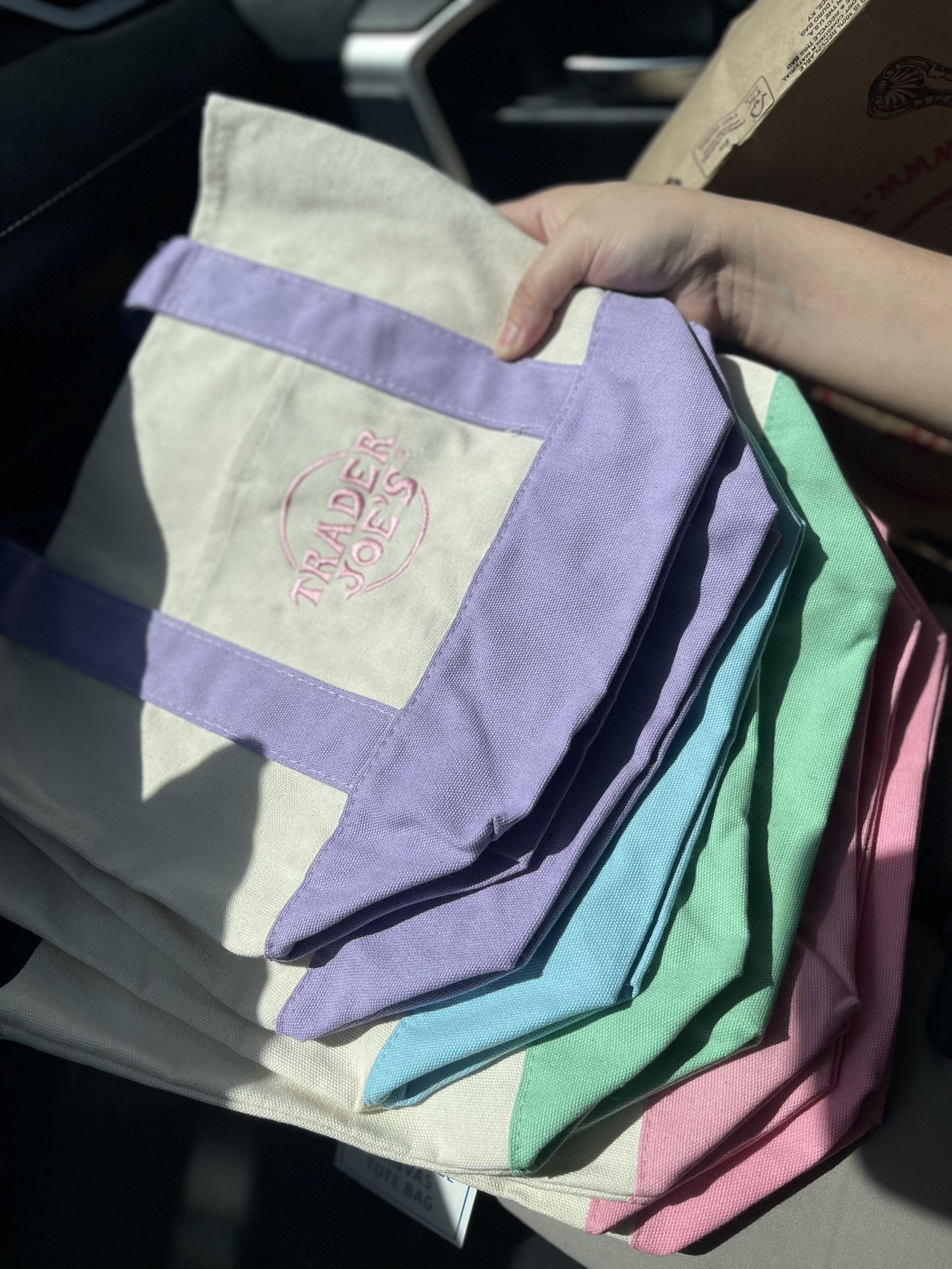 Trader Joes Mini Pastel Canvas Tote Bag 