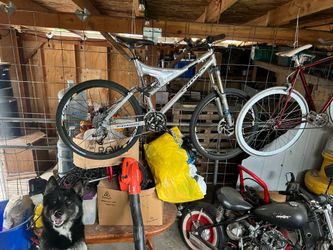 Titus switch blade bike