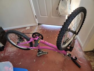 Kid Diamondback Bike