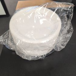 9 inch bagasse plates 500 count