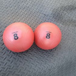 8lbs  weighted  balls 