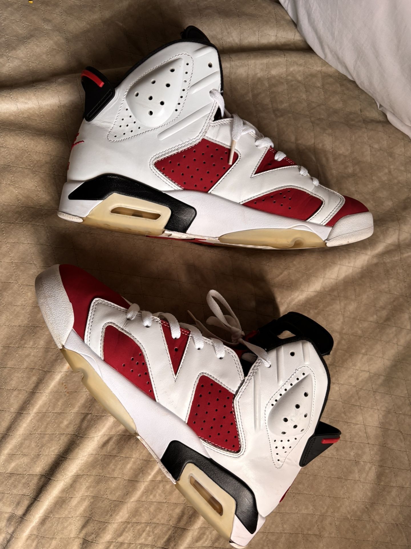 Air Jordan 6 Carmines Size 11