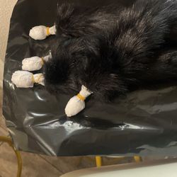 Black Furry But Tails