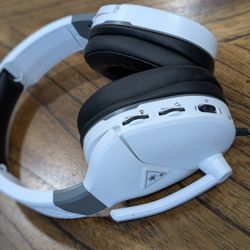 Turtle Beach Gaming Headset 🐢 🏖️