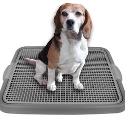 Mesh Potty Training / Pet Training Tray / Pet Training Pad Holder - brand new