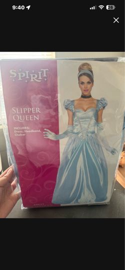 Cinderella dresss