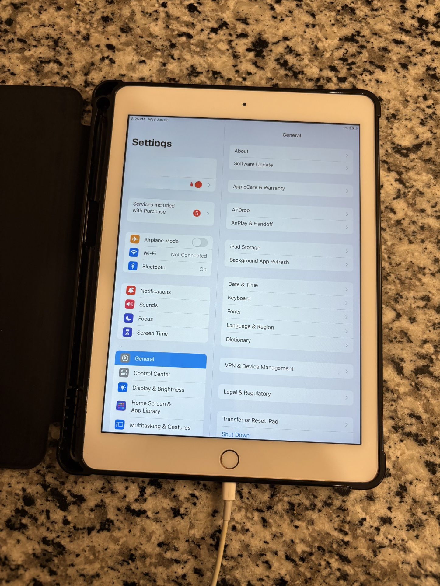 Apple iPad