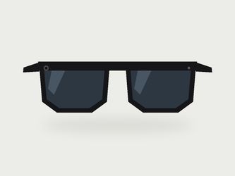 Meta Ray-Ban Smart Glasses
