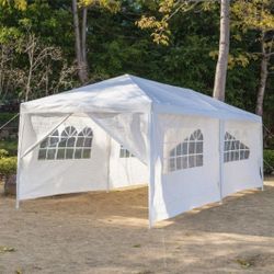 Brand New 10x20 Canopy 