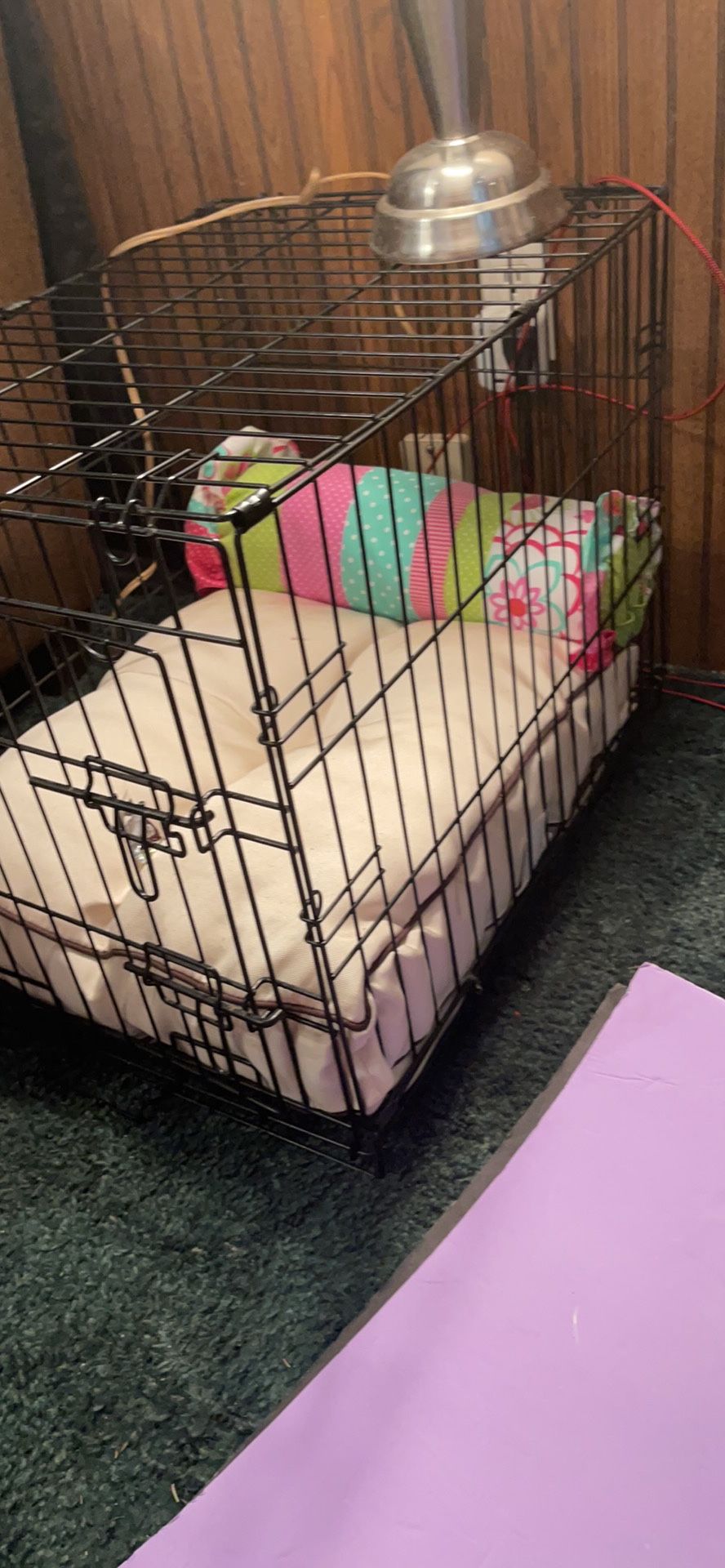 18 x 19 x 24” that crate with soft matching pillows!!