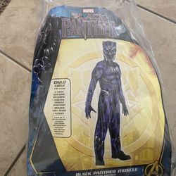 Black Panther Costume