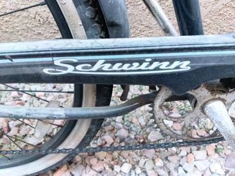 Schwinn Riverside beach cruizer