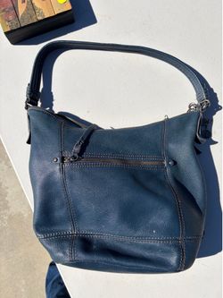 The Sak purse