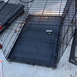 Dog case