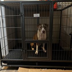 Custom Built Kennel 