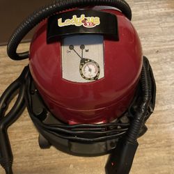 Ladybug Steam Cleaner 