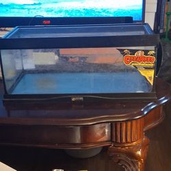 Small Reptile  Tank