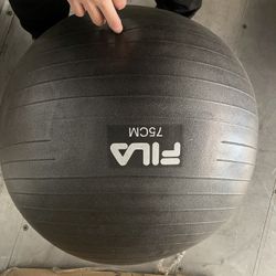 Workout Ball