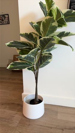 Decorative Faux Plant
