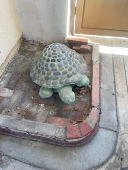 Free decor turtle