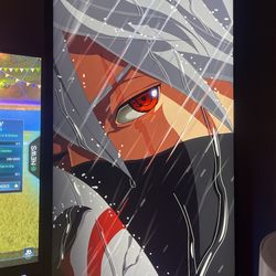 360 htz alien ware monitor (24 inches) 