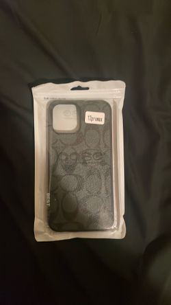 12 pro max care