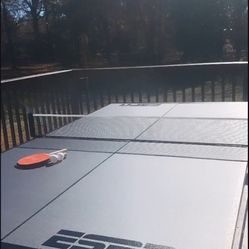 ESPN Ping Pong Table