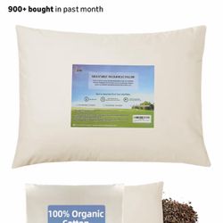 Organic Buckwheat Pillow