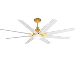 Gold With White 72 In Fan With Remote 