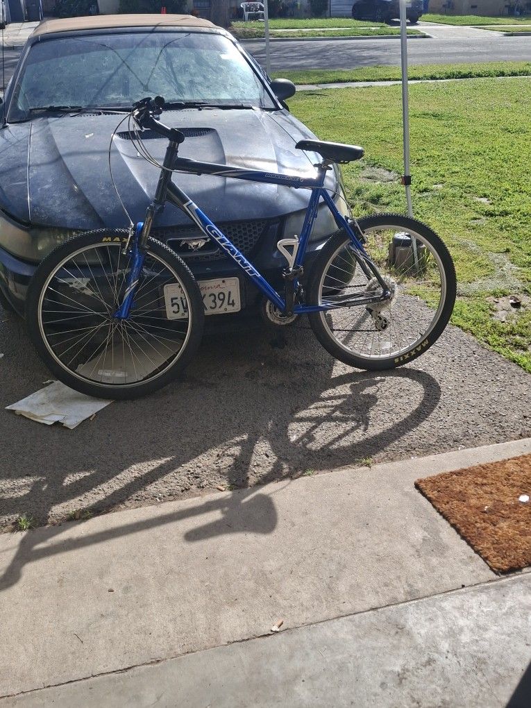 Giant Mountain Bike