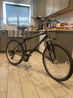 Seaside adult mountain bike