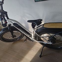 Himiway D3 ST Cruiser eBike Electric Cargo Bike Bicycle Fat Tires 750W Large