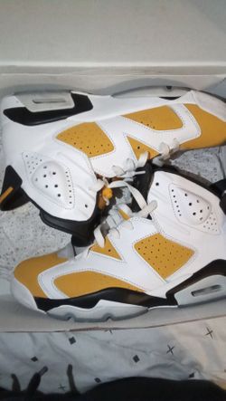 Air Jordan 6 retro