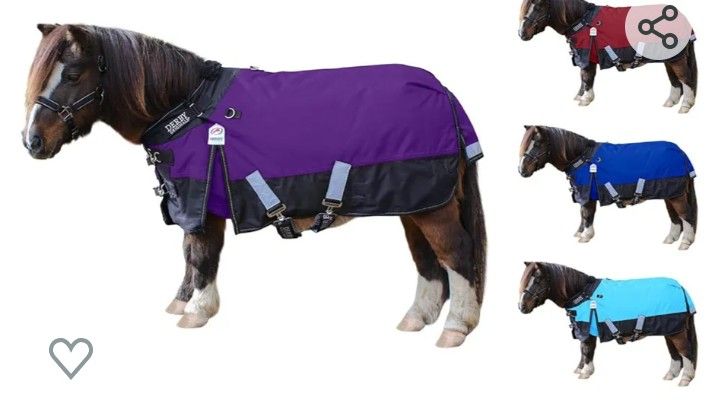 Horse Blanket Pony Size