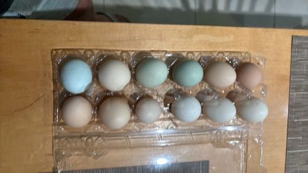 Farm- raised fresh eggs