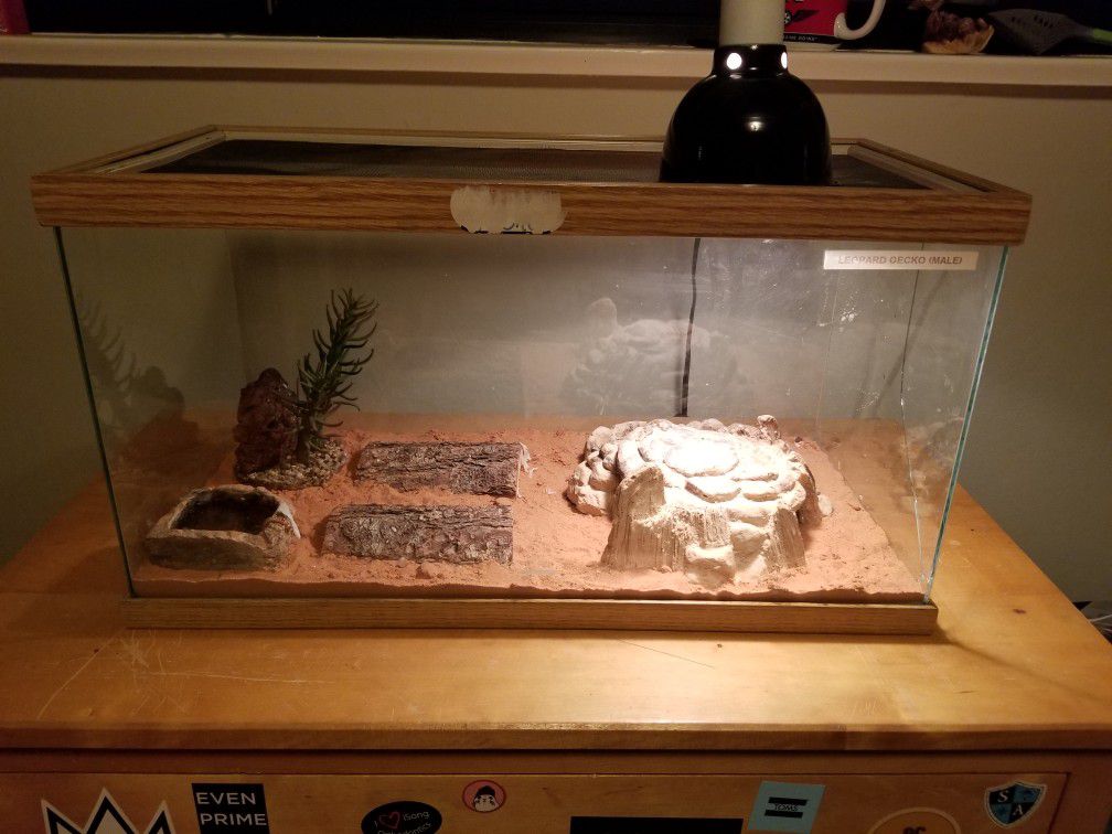 ISO a cage for 2 leopard geckos