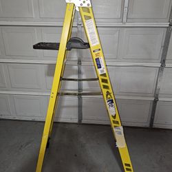 6ft Werner Ladder