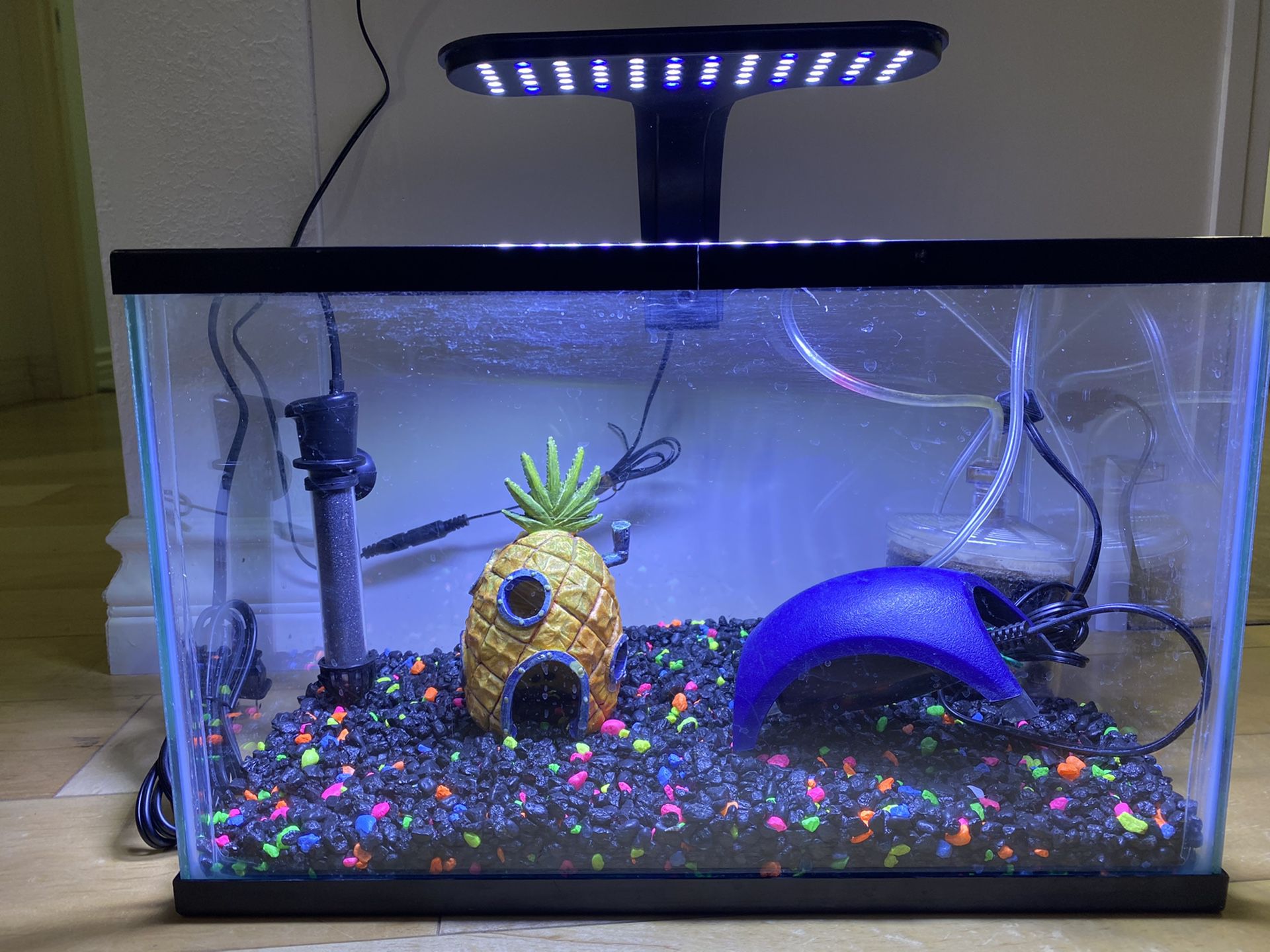 5 gallon glow in the dark fish tank / aquarium
