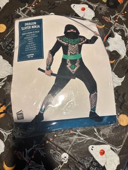 Dragon Slayer Ninja Halloween Costume Large 12-14
