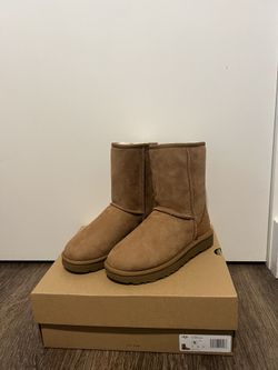 Women's Classic II Short Boots - Chestnut 5