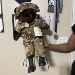 Meet Army Bear Kevin