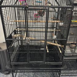 BIRD CAGE